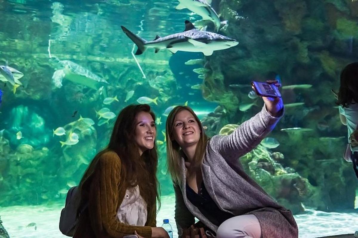 two women sitting in front of an aquarium with a fish