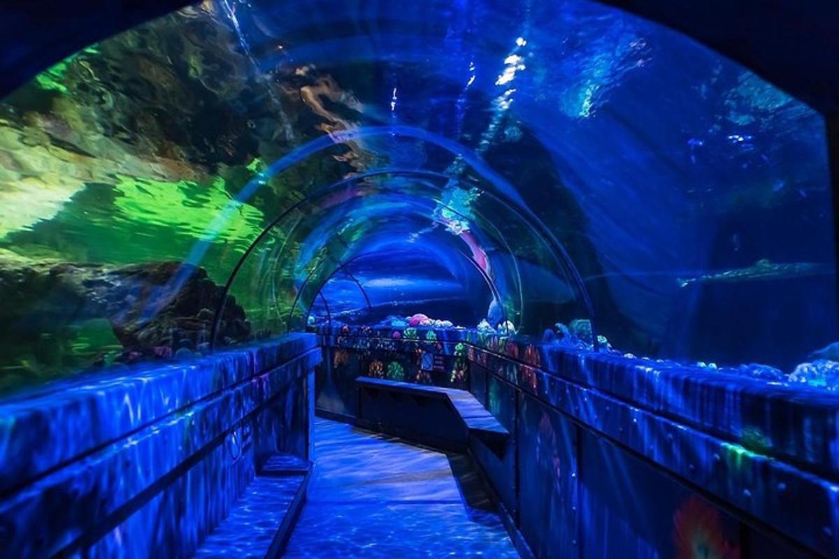 a blue tunnel with an aquarium with fish in it