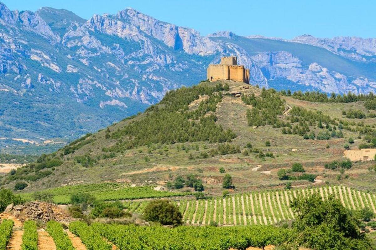 un castello in cima a una collina con montagne
