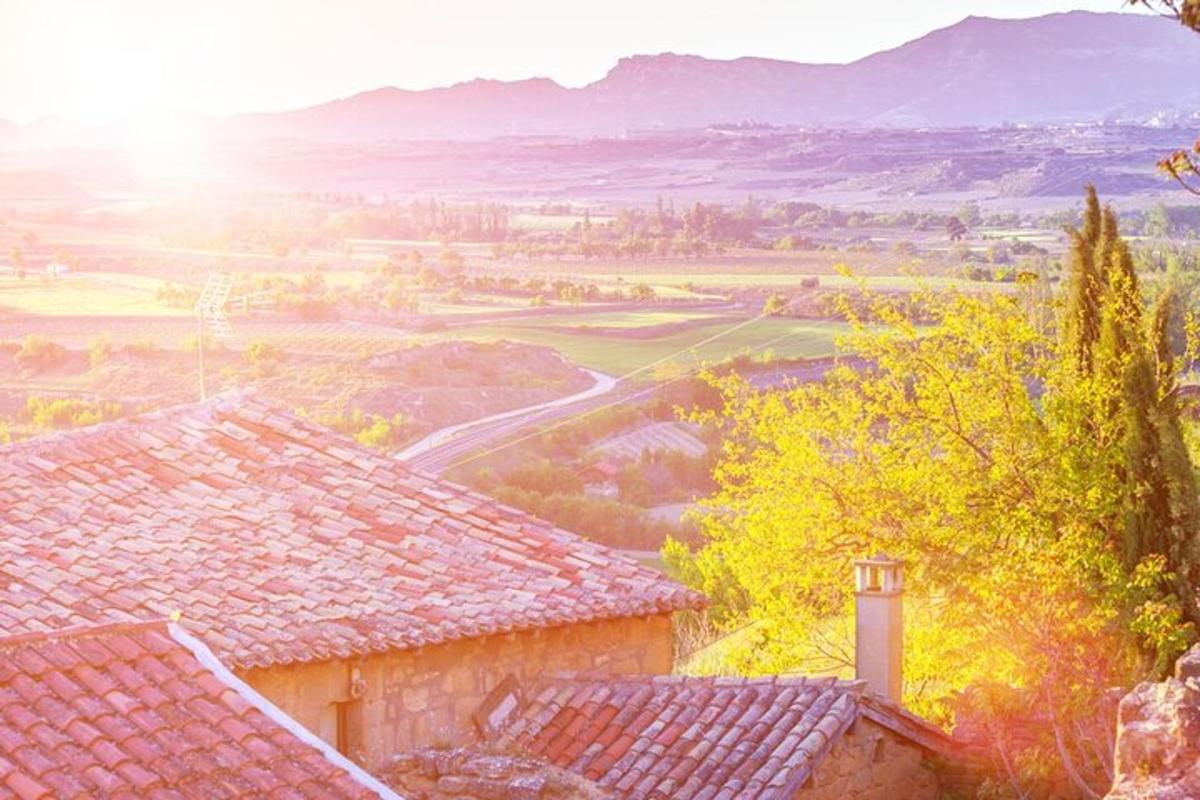 una vista d'una vall amb cases i arbres