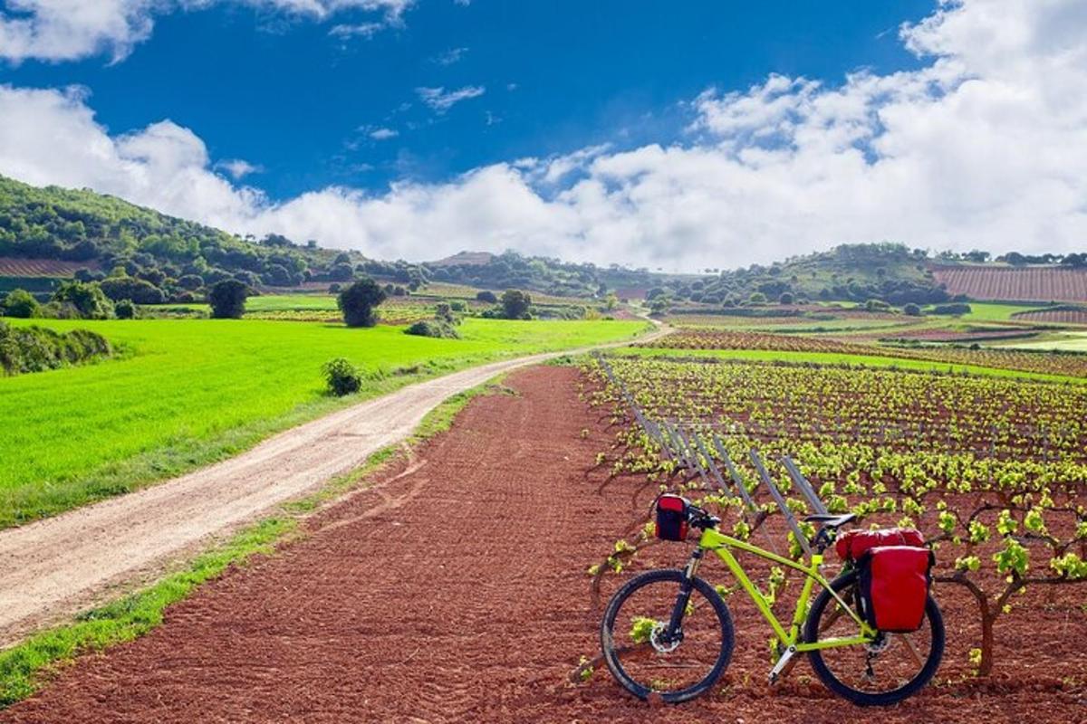 una bicicletta parcheggiata su una strada sterrata in un campo