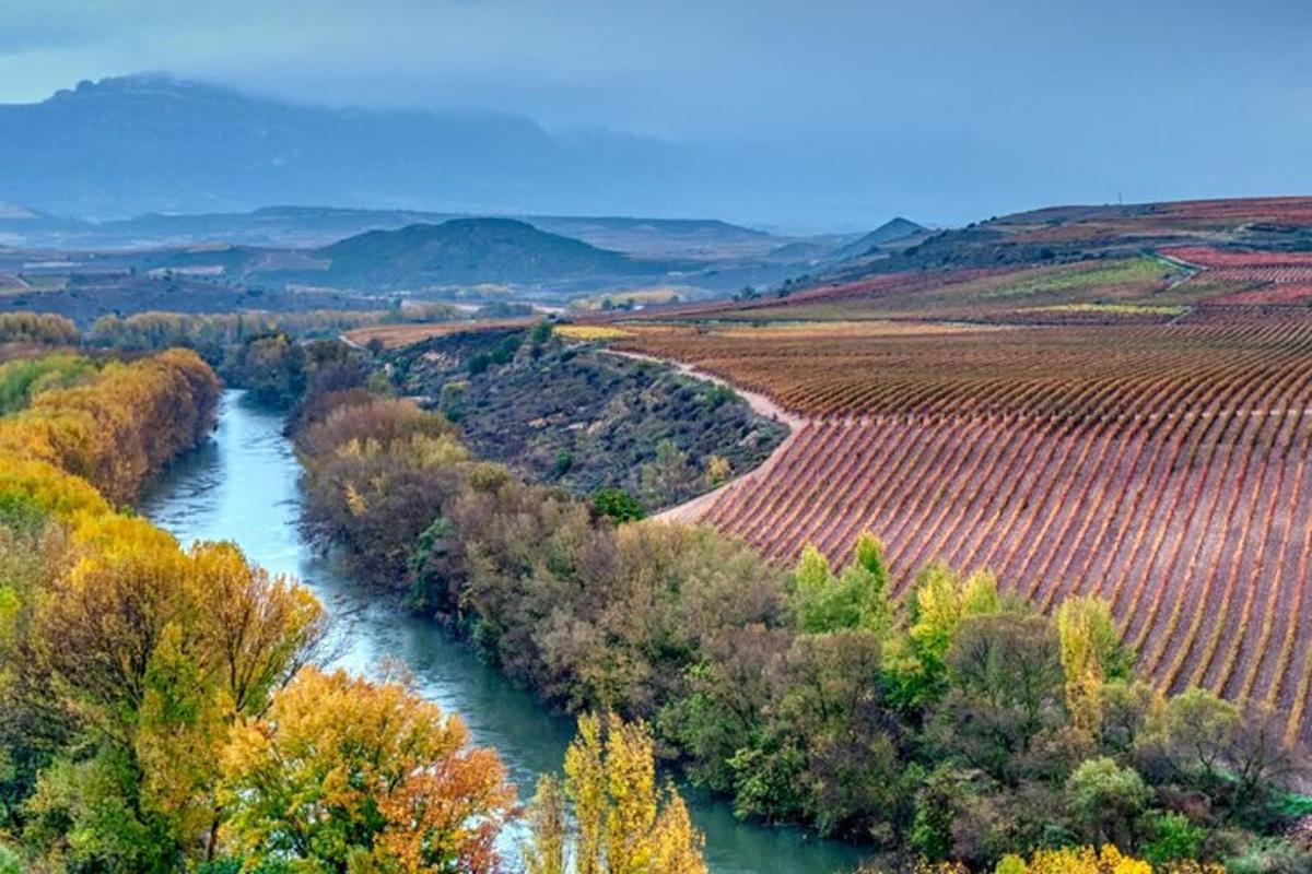 un fiume che scorre attraverso un vigneto accanto a un campo