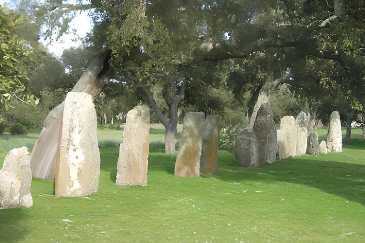 a group of rock formations in a field with a tree