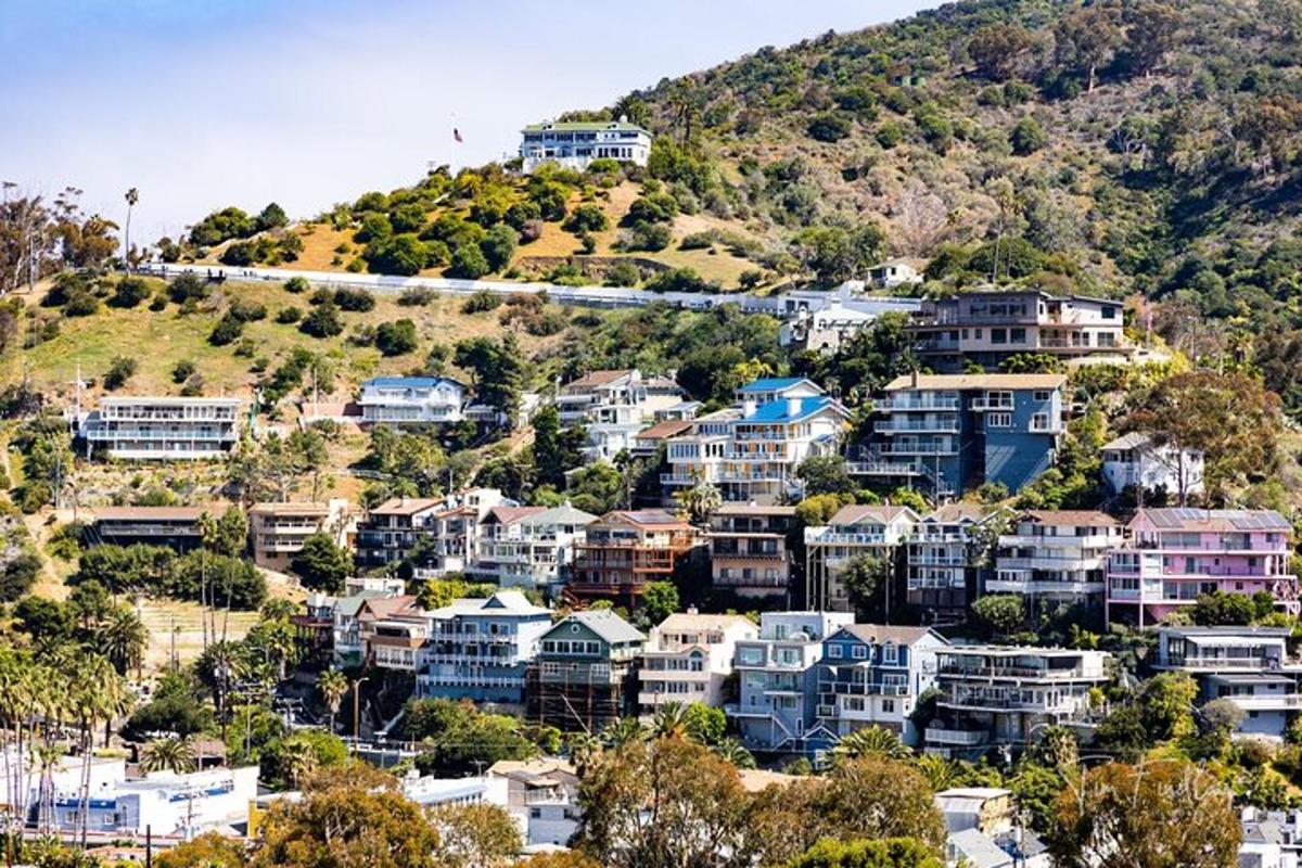 a group of houses on top of a hill