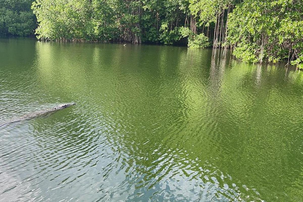 a large body of water with trees in the background