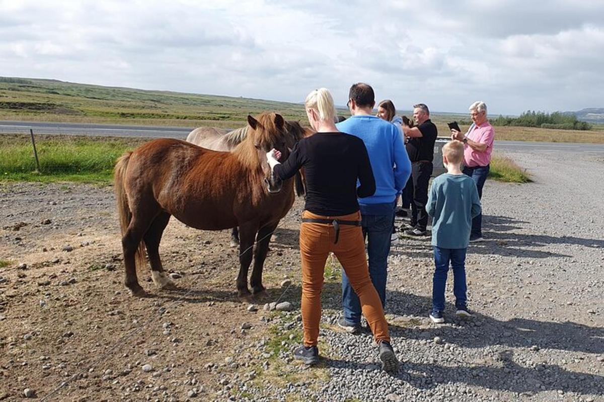 um grupo de pessoas em pé ao redor de um cavalo marrom