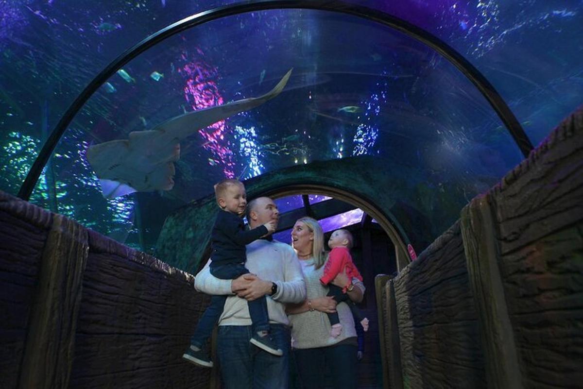 a man and a woman holding a baby in front of a aquarium