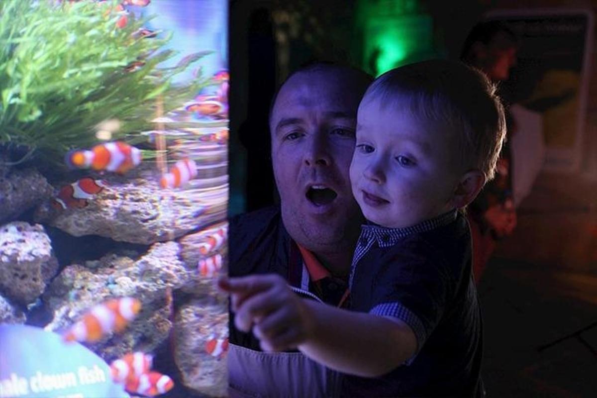 a man holding a little boy in front of a aquarium