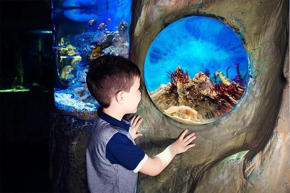 a young boy is looking into a round mirror in an aquarium