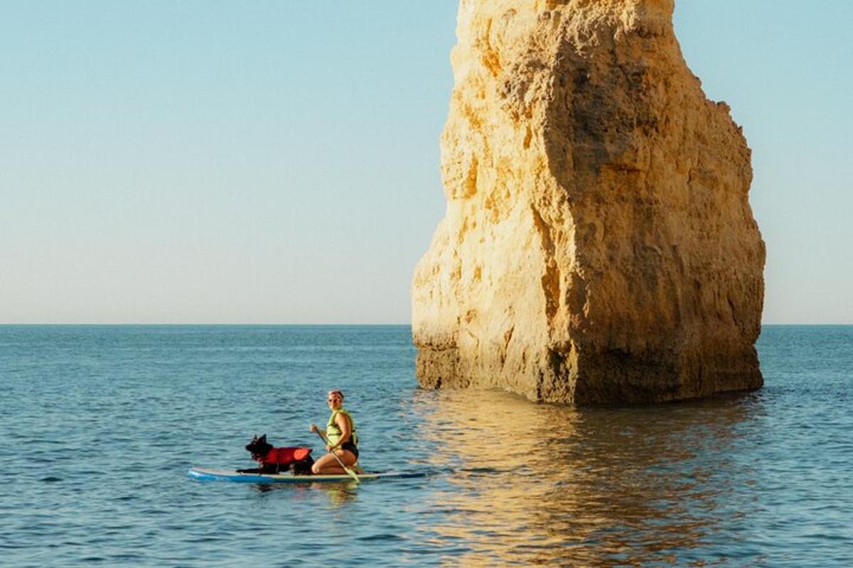 un uomo e un cane su una tavola da surf nell'oceano