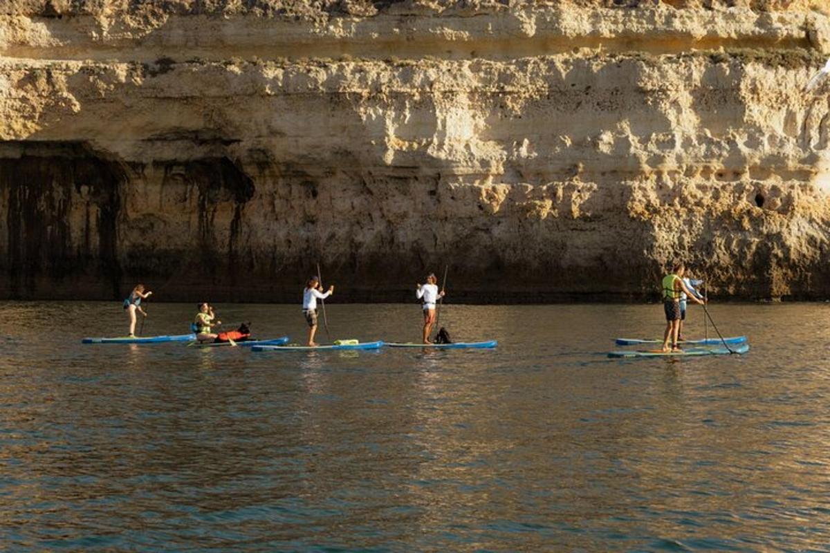 un gruppo di persone su tavole da paddle in acqua