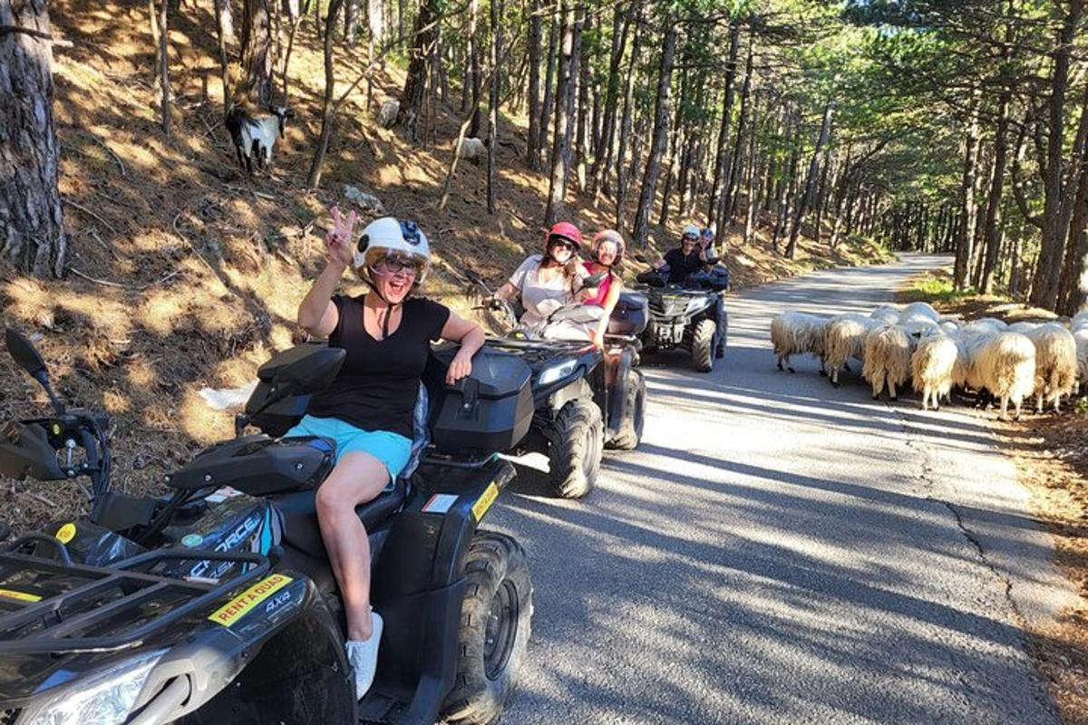 a group of people riding atvs down a road with sheep