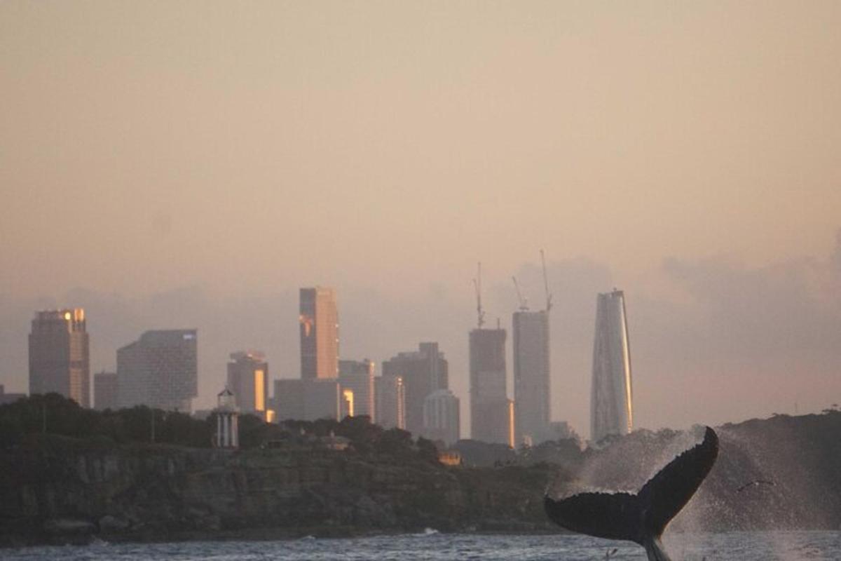 ένα πουλί στο νερό με μια πόλη στο φόντο