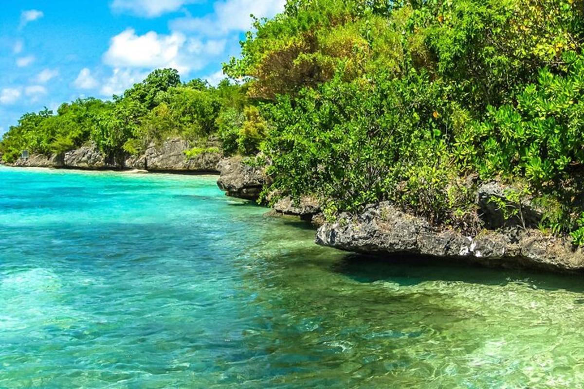 uma praia com água turquesa e árvores verdes
