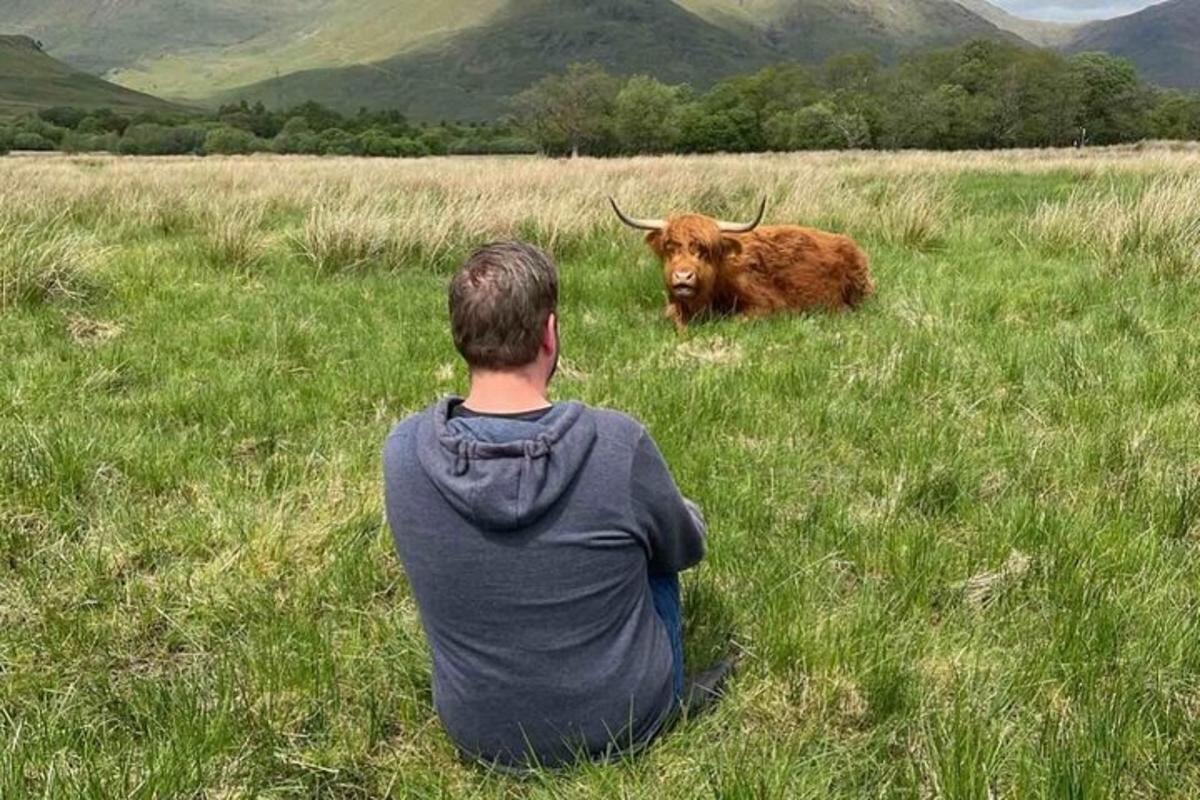 seorang lelaki duduk di padang sambil melihat seekor lembu