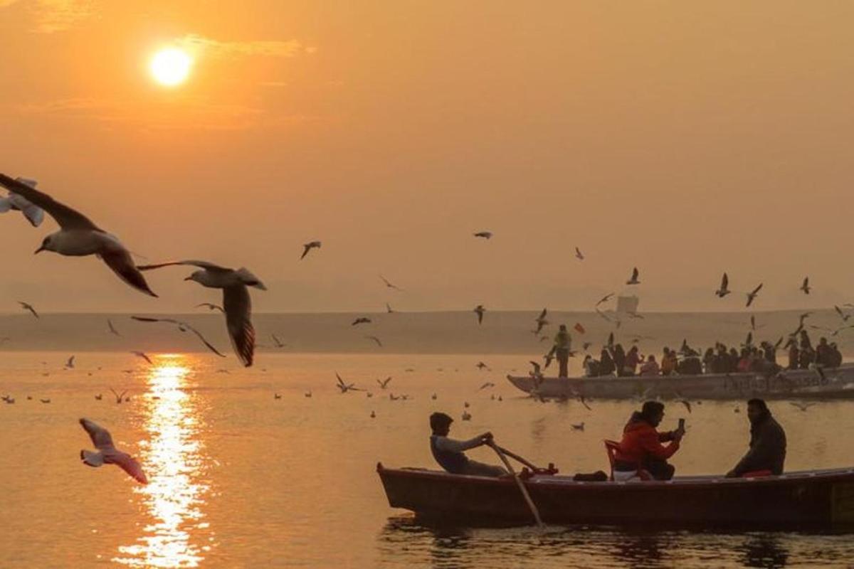 sekumpulan orang dalam bot di atas air dengan burung