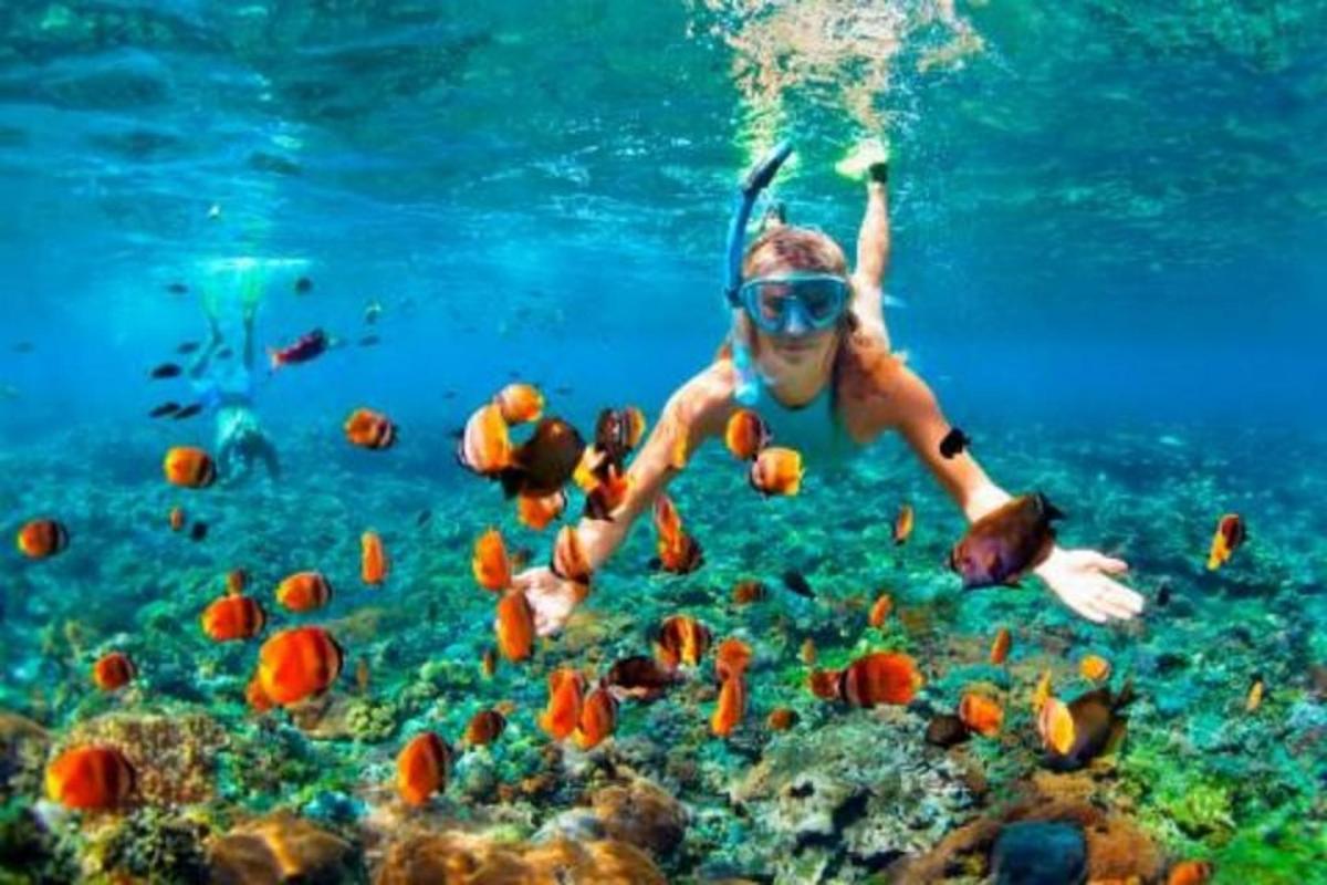 una mujer nadando en el agua con peces