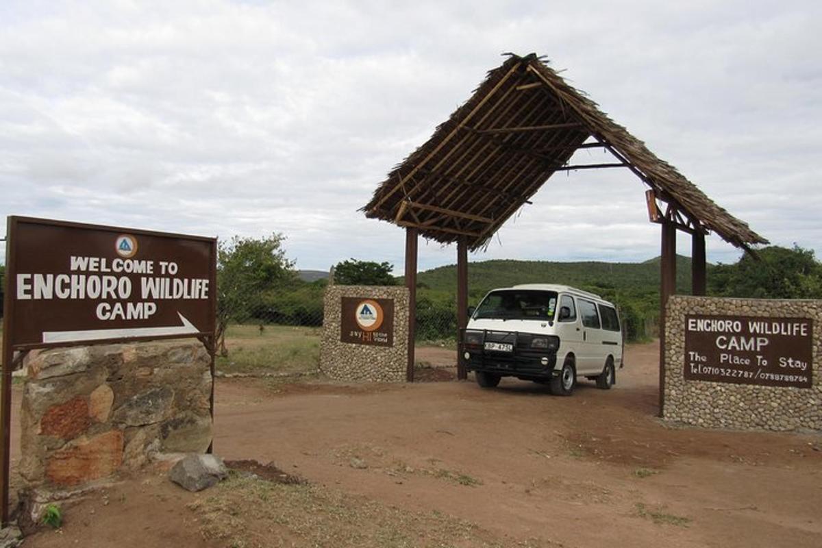 uma van branca estacionada em um acampamento de vida selvagem ao ar livre