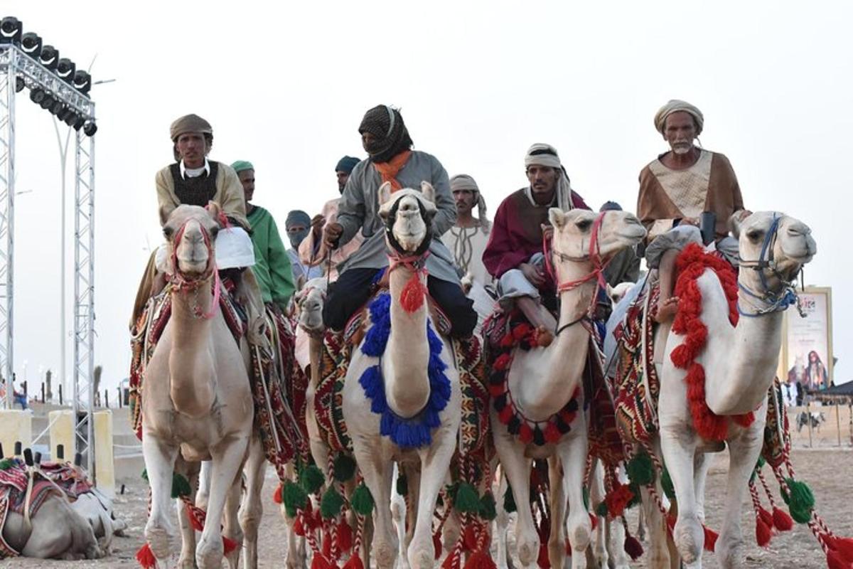 a group of men riding on the backs of horses