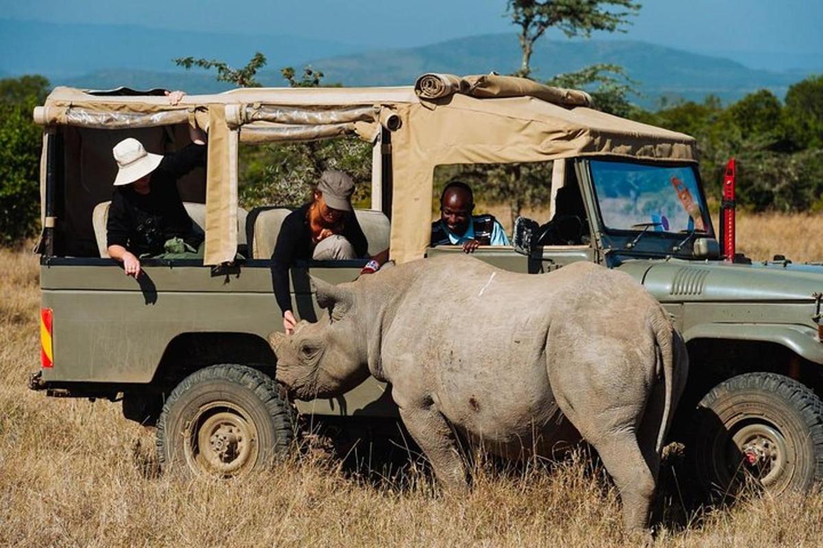 a rhino standing in front of a jeep with people