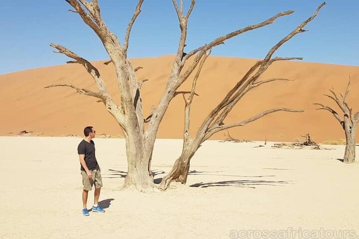 a man standing next to a tree in the desert