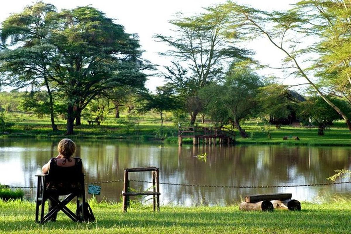 uma mulher sentada em uma cadeira em frente a um lago