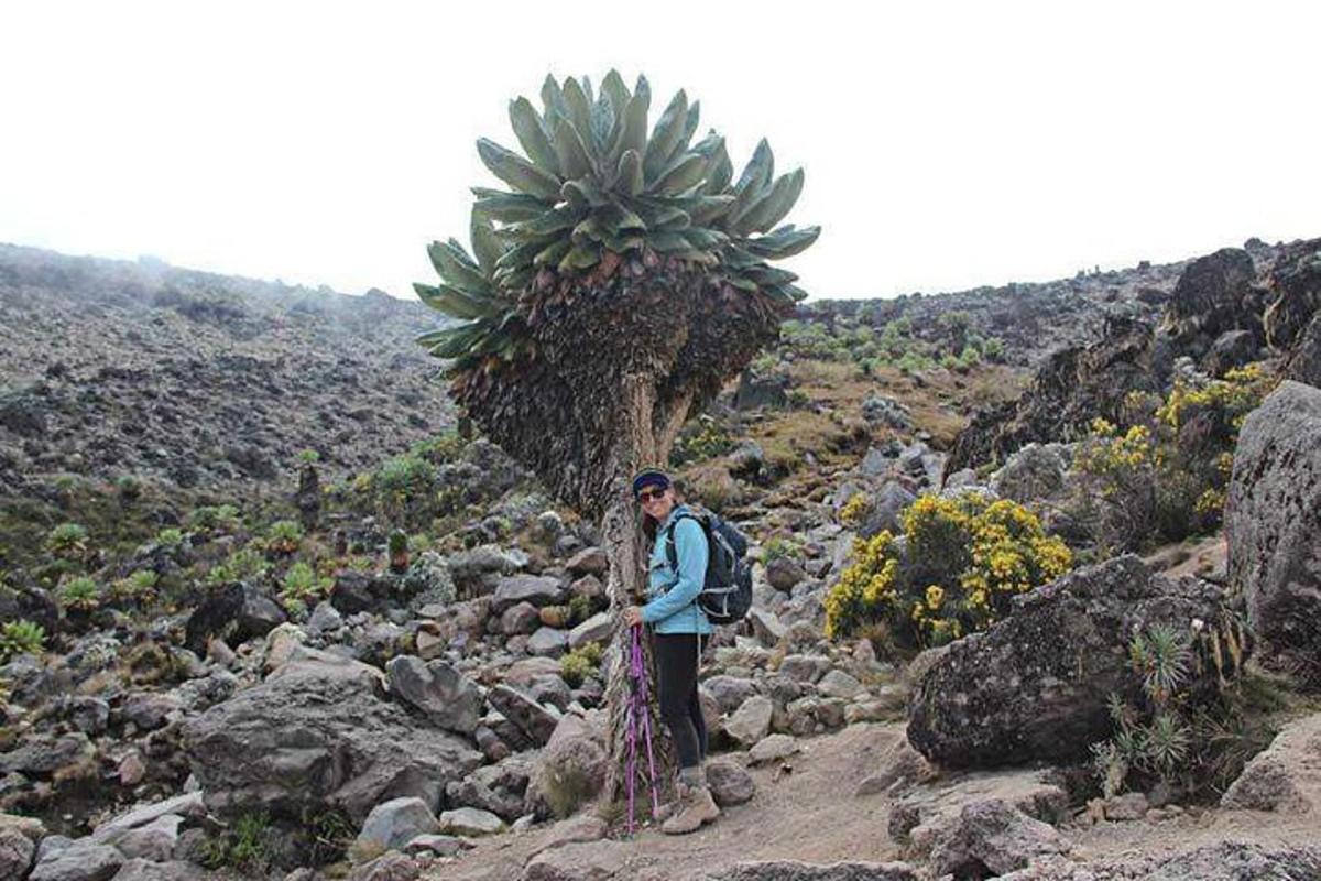 seorang wanita berdiri di atas bukit berbatu dengan tumbuhan