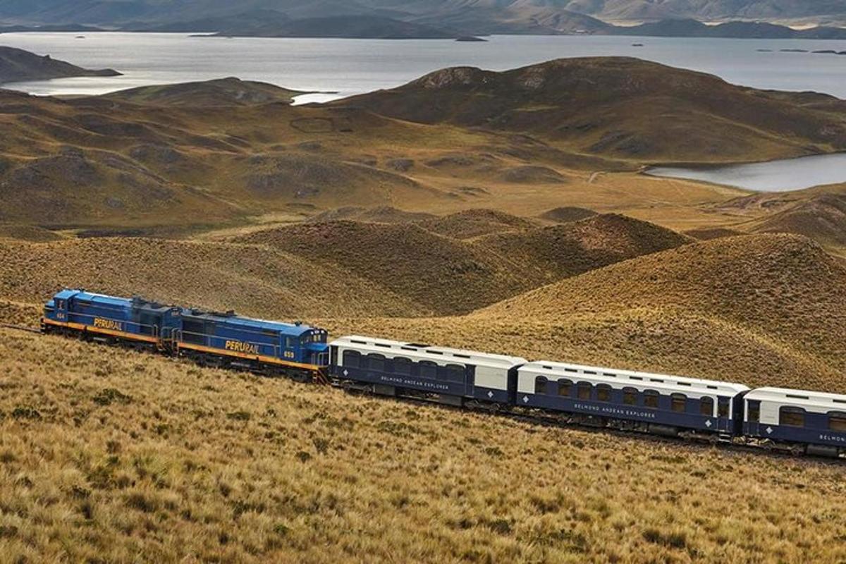 un treno blu e bianco che viaggia attraverso il deserto