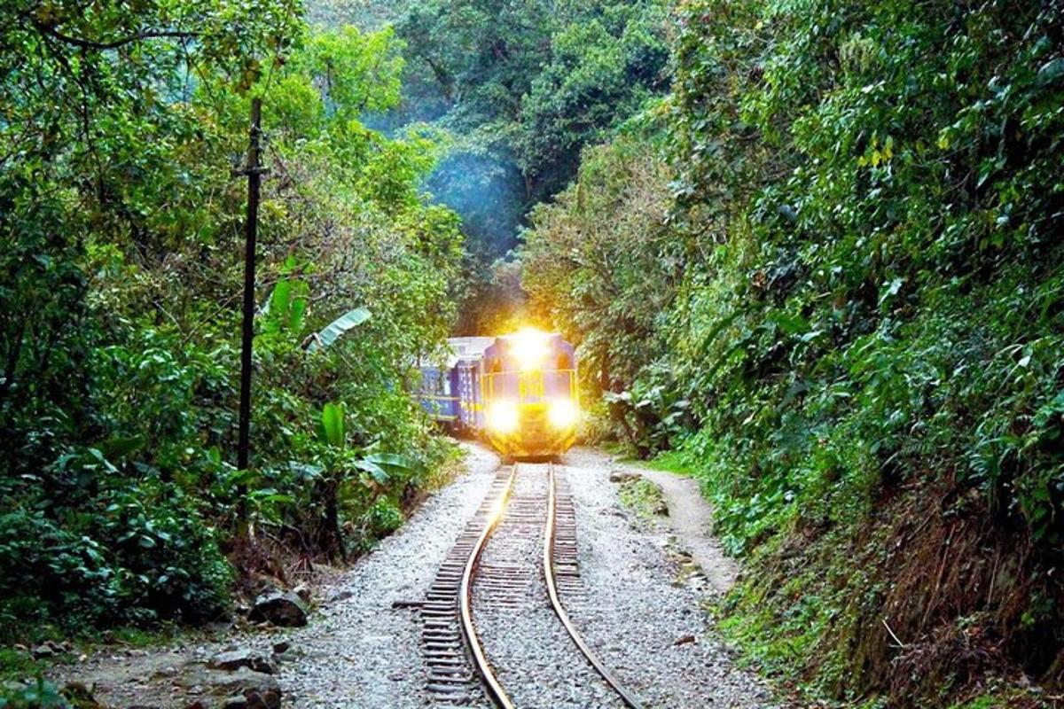 un treno sta scendendo lungo i binari in una foresta