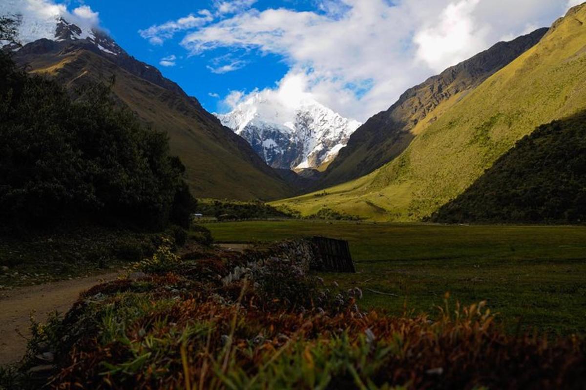 uma vista de um vale com montanhas ao fundo