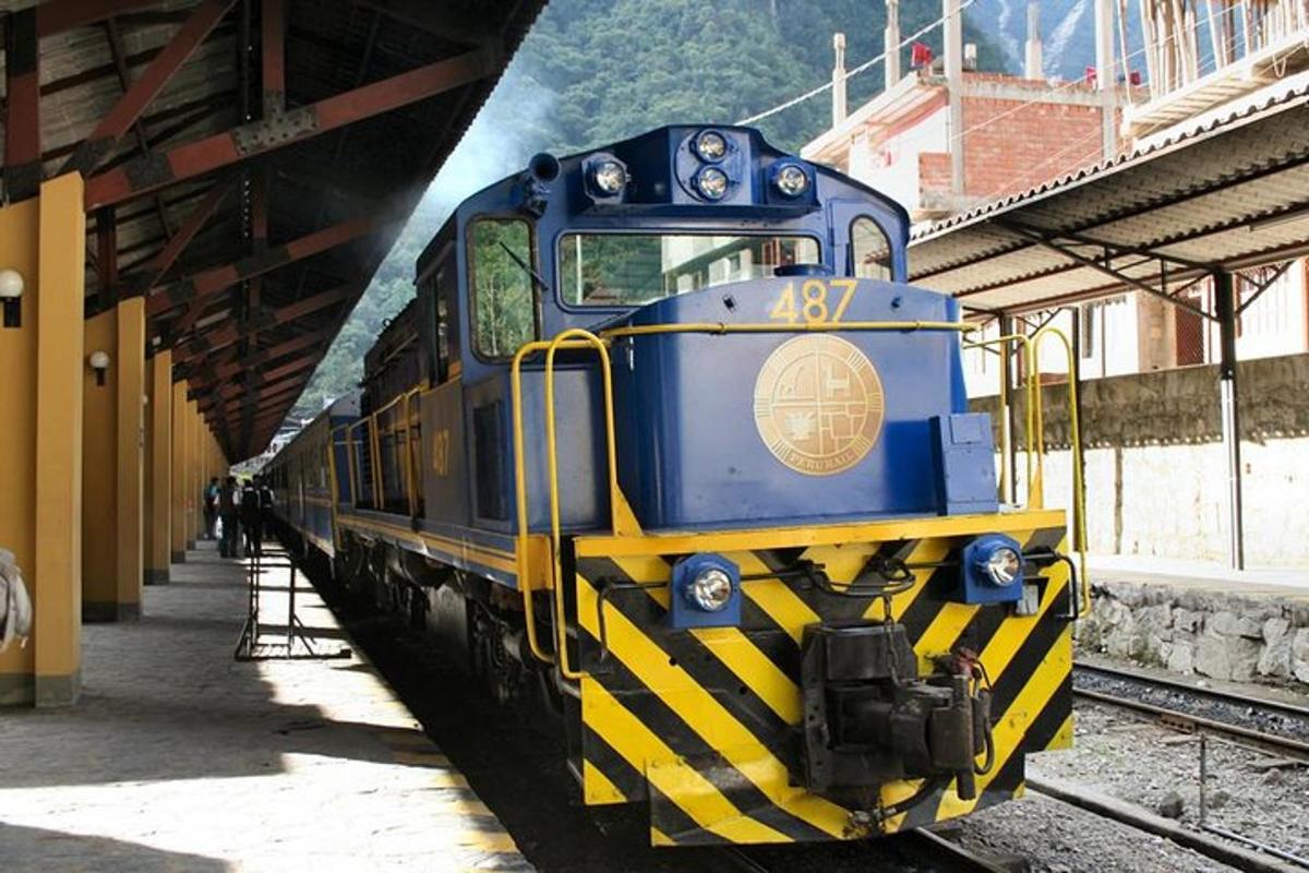 un tren blau i groc aparcat a una estació de tren