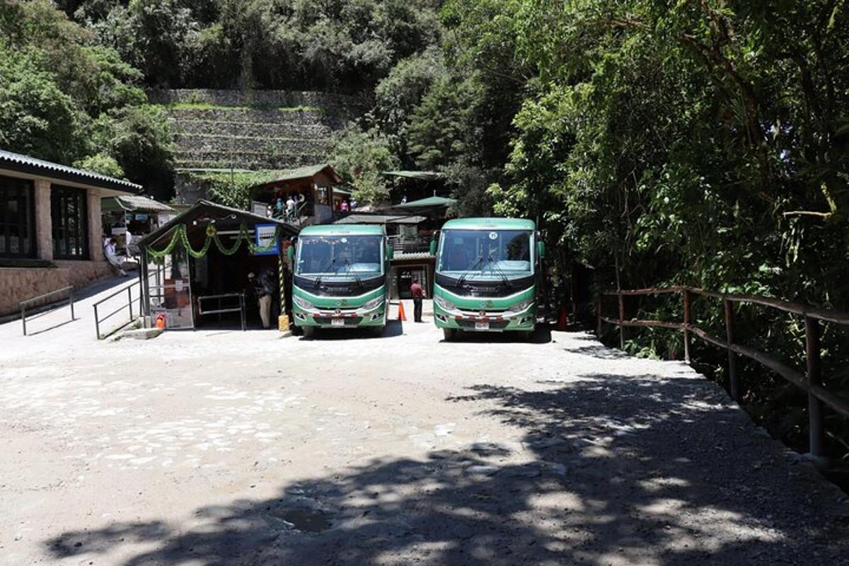 two green buses parked in a parking lot