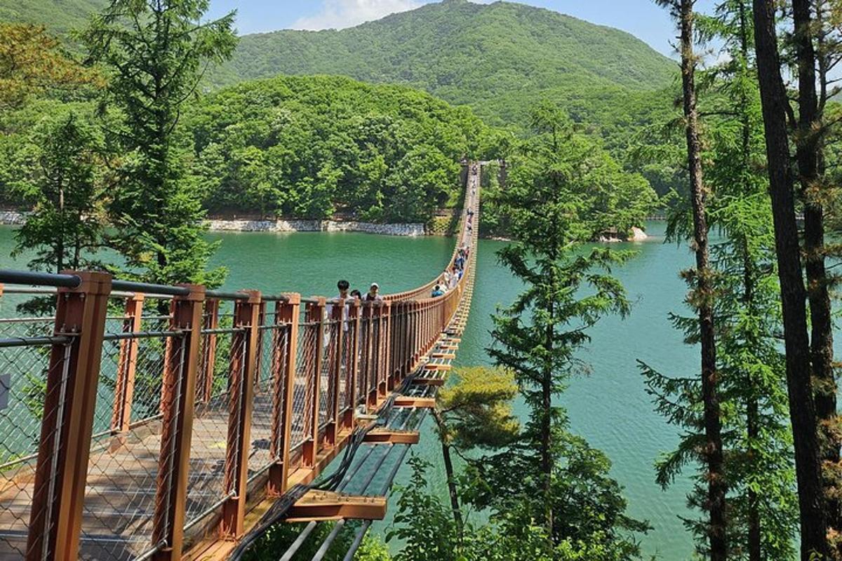 a suspension bridge over a river with people on it