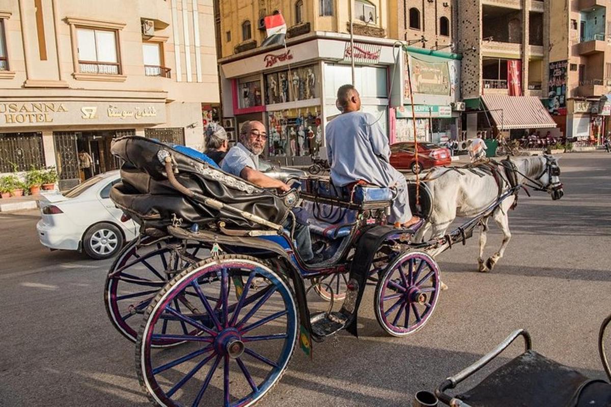 two men in a horse drawn carriage on a city street
