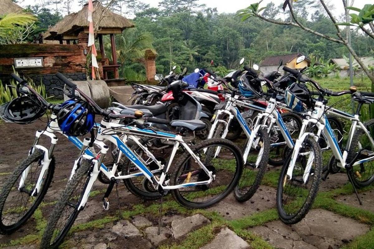 隣り合って駐車された自転車のグループ