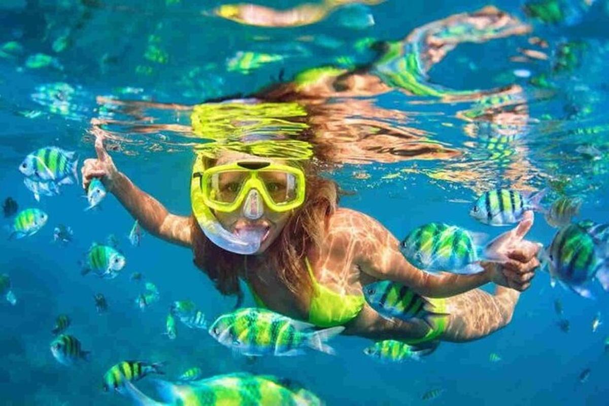kona syndir í vatni með snorkel