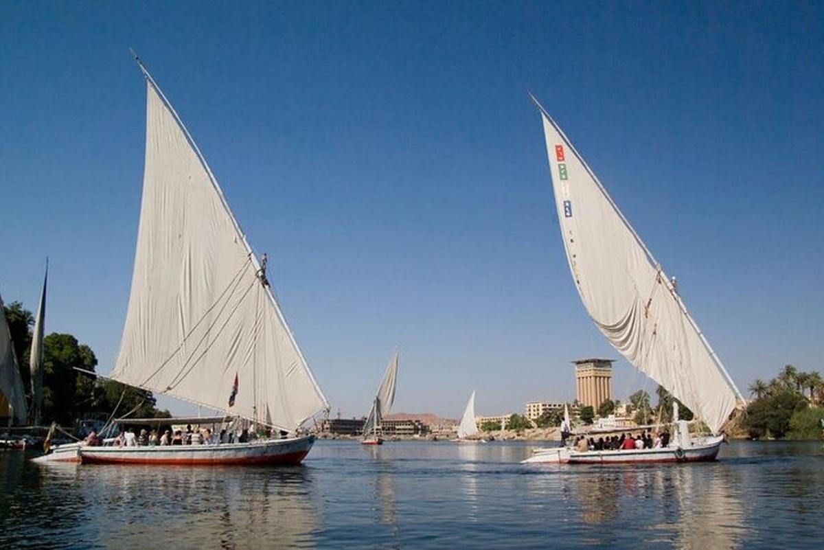 dos barcos con velas blancas en el agua