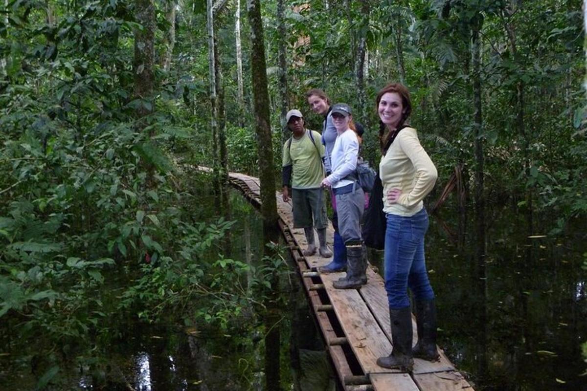 a group of people standing on a bridge in the forest