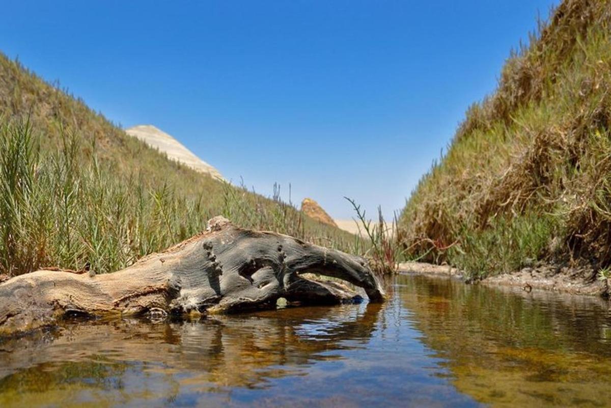 a dead tree laying in the water next to a hill