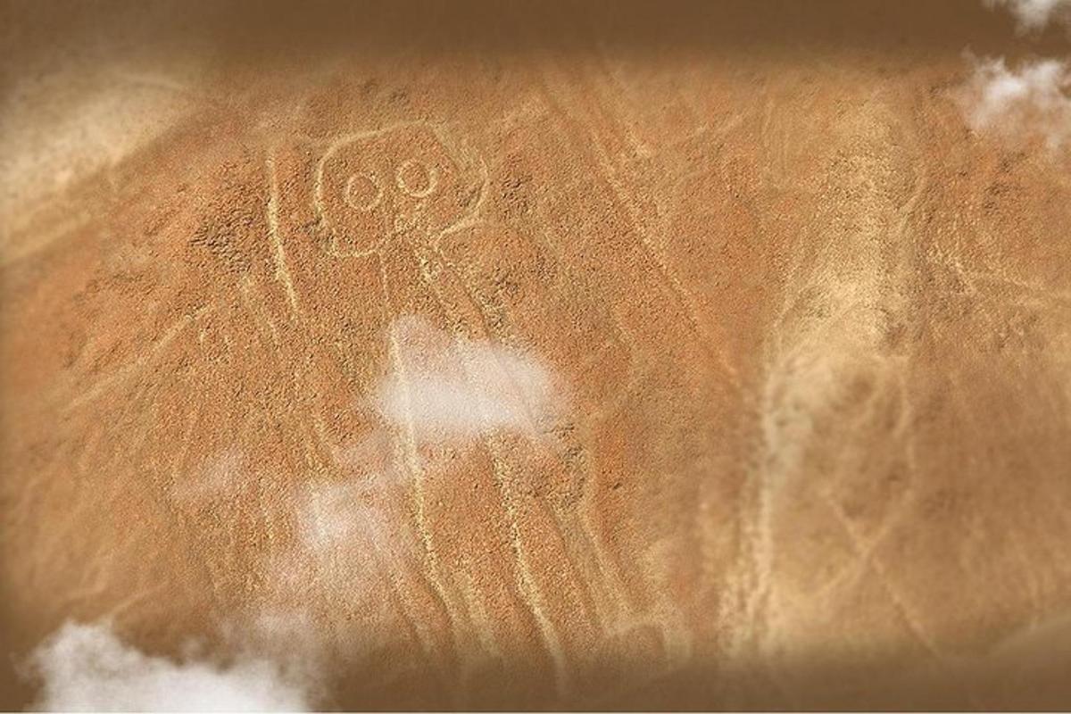 gambar seorang pria di atas sepotong roti