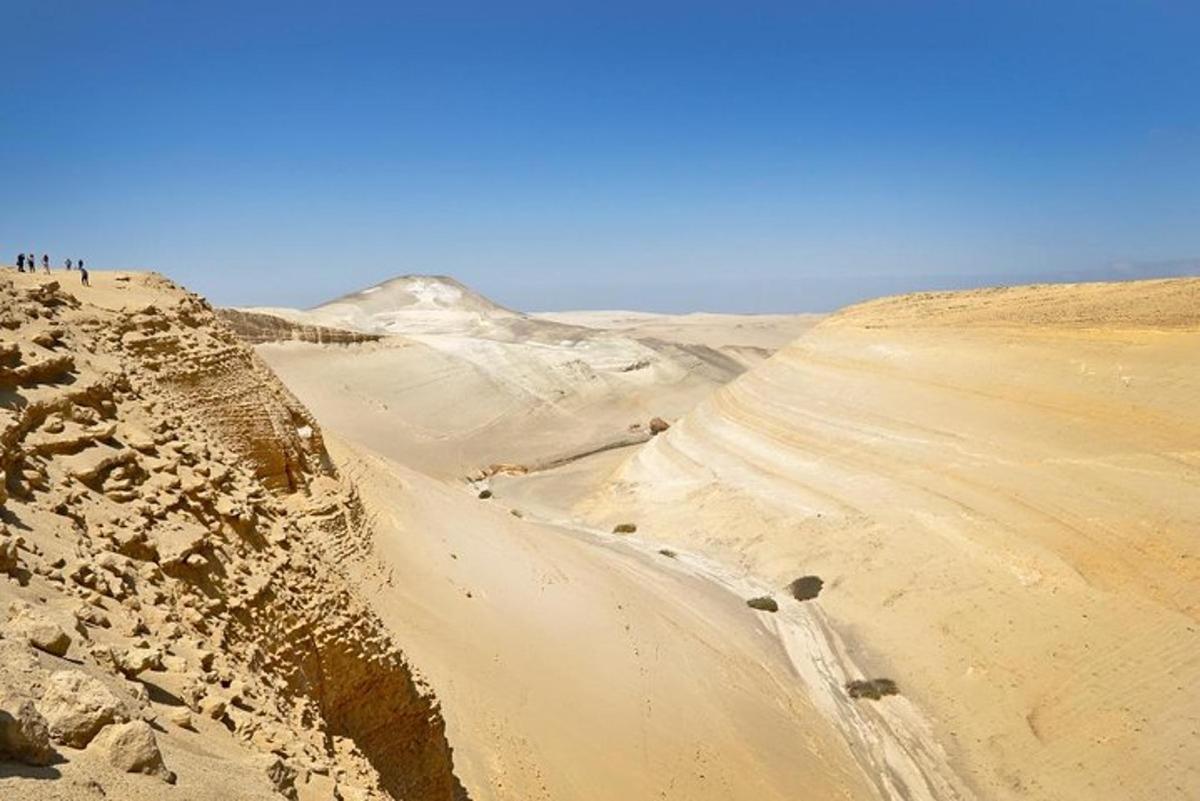 a dirt road in the middle of a desert