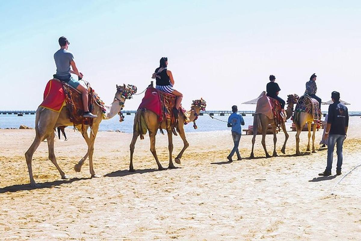a group of people riding horses on the beach