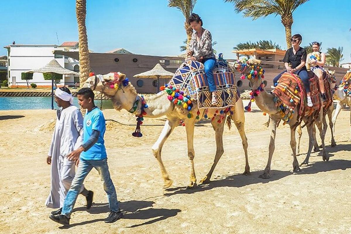 a group of people riding on the backs of camels