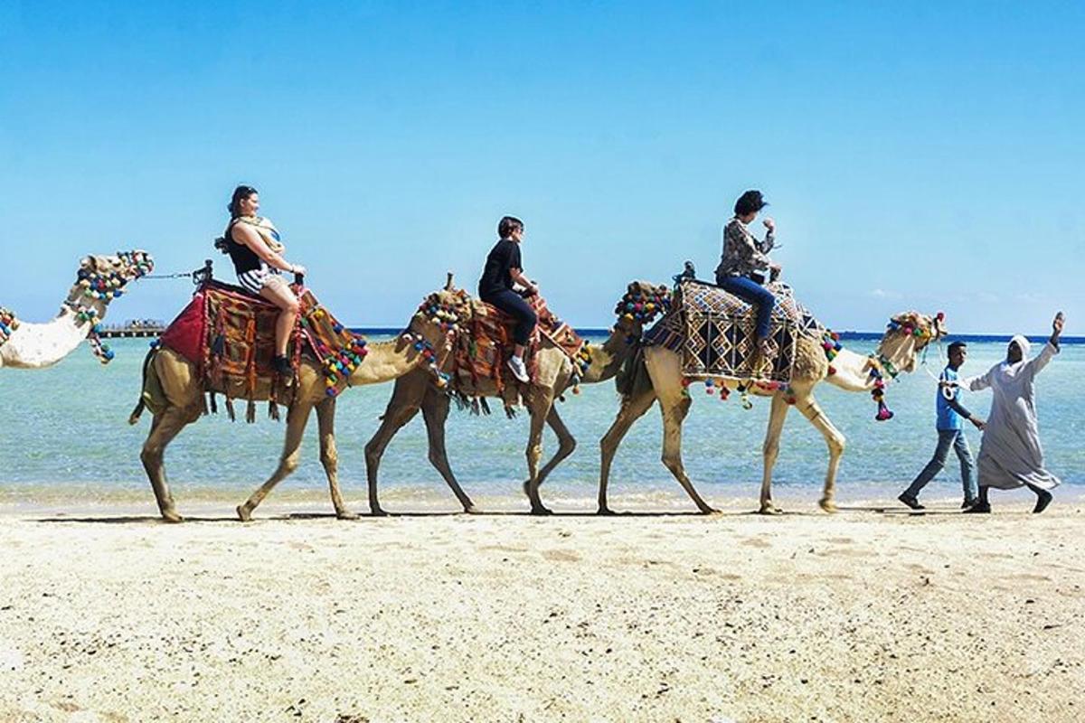 a group of people riding on camels on the beach