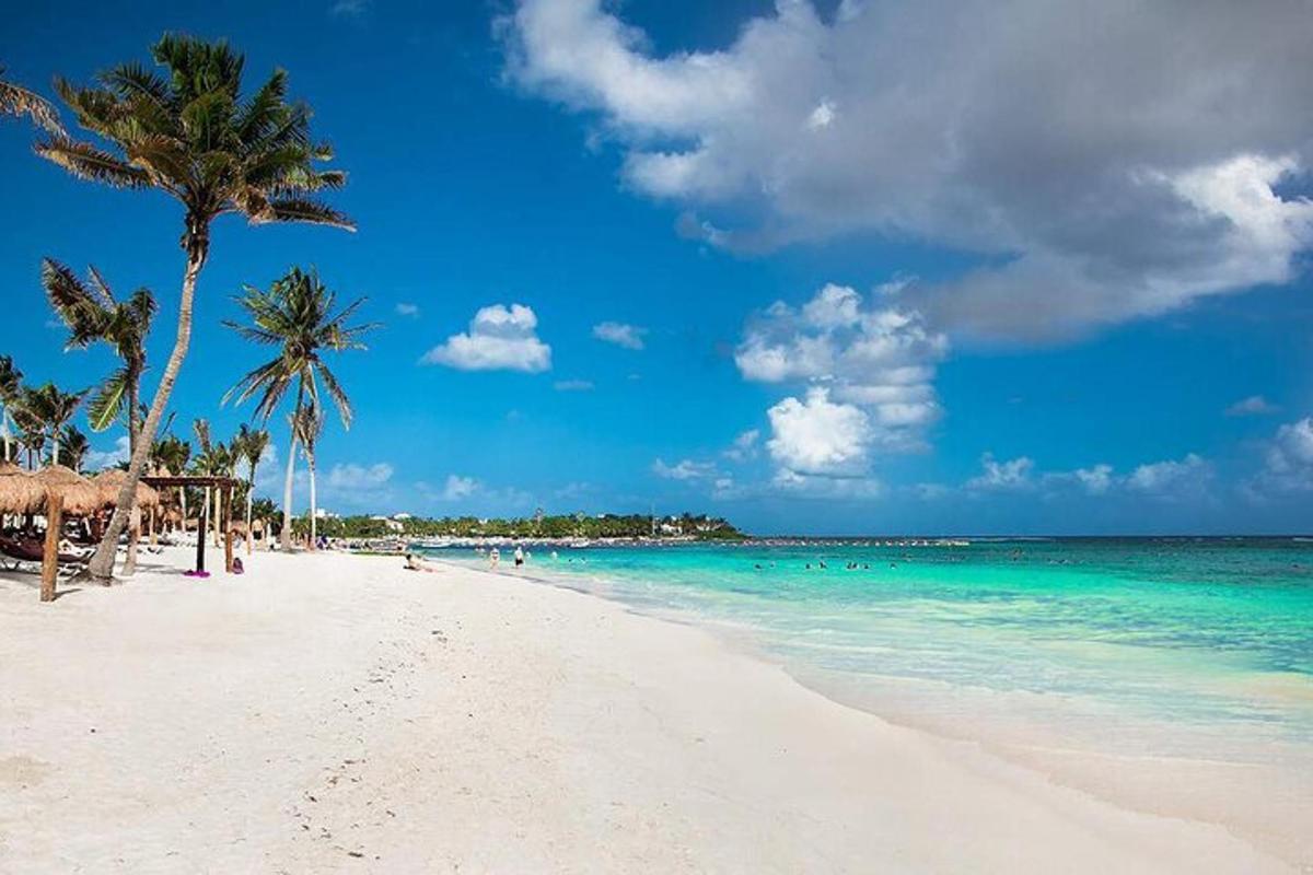 uma praia com palmeiras e pessoas na água