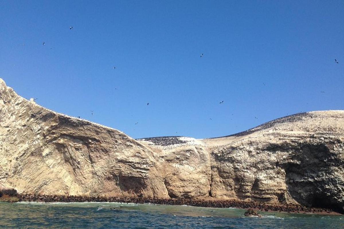 una collina rocciosa con l'oceano di fronte