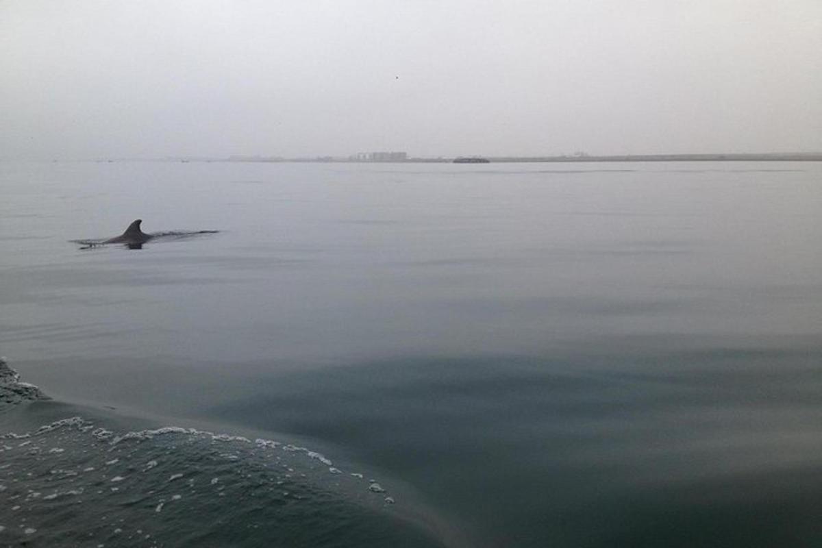 un aereo fermo in mezzo a uno specchio d'acqua