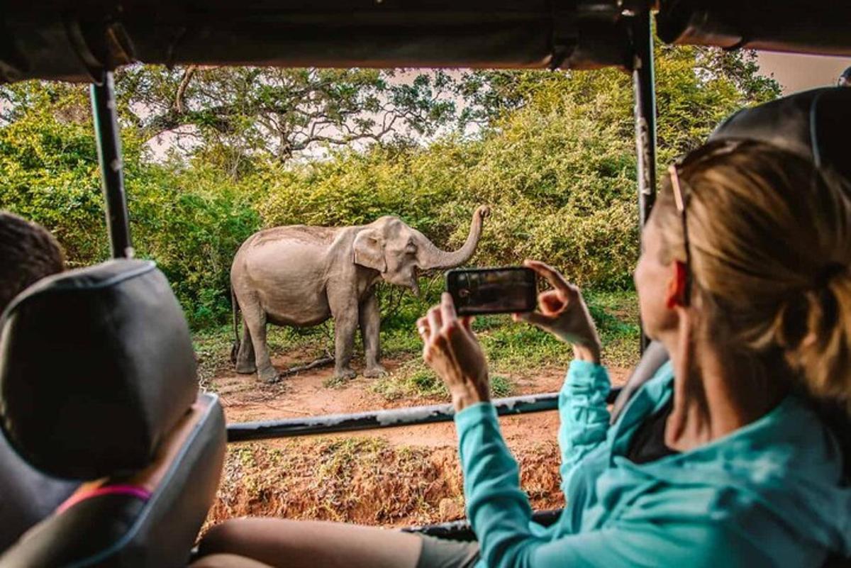 a woman taking a picture of an elephant from a vehicle