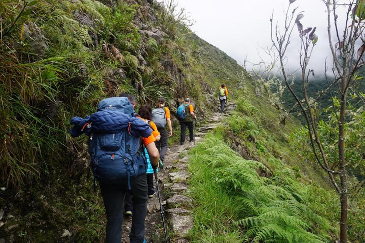un groupe de personnes marchant sur un sentier de montagne