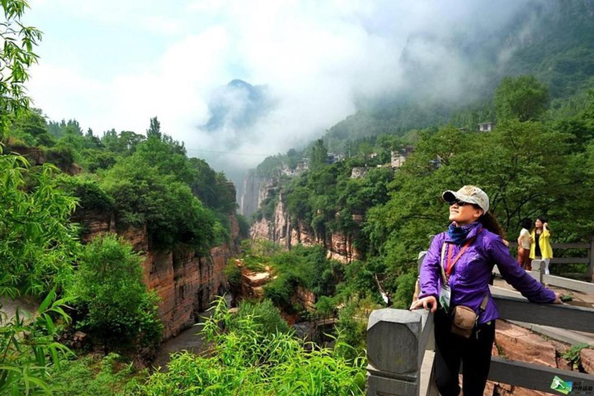 a woman standing on a ledge overlooking a canyon